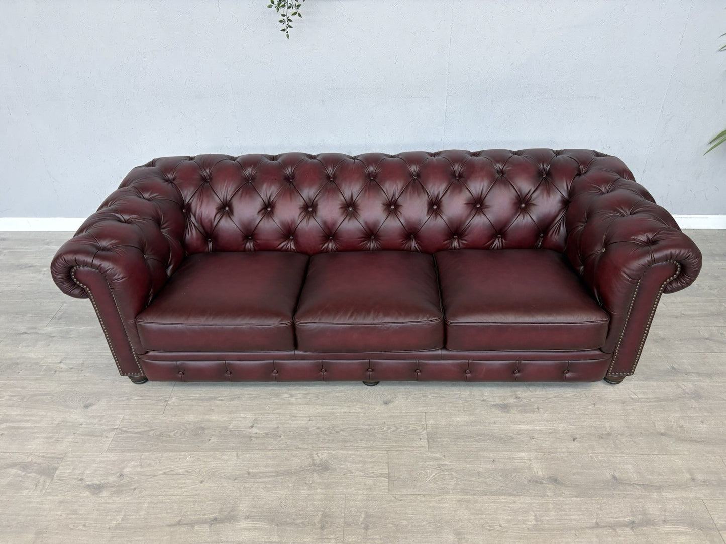 F.V. At The Helm Shackleton Leather Chesterfield 4 Seater Sofa - RRP £2,895